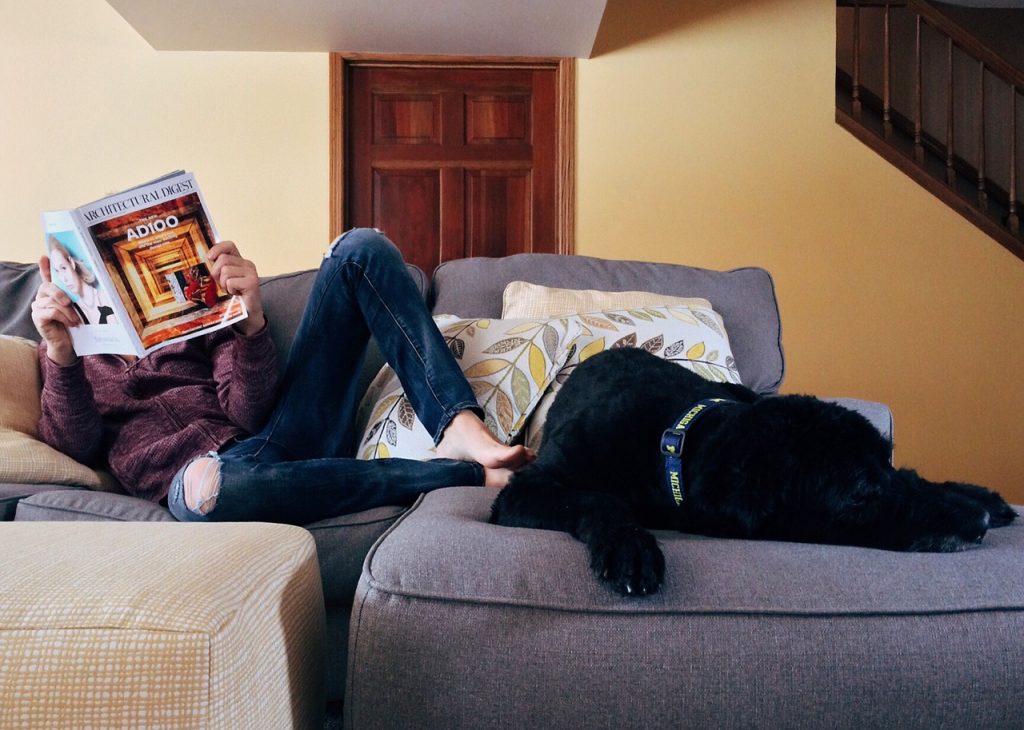 personne lisant un magazine sur un canapé avec un chien noir couché à côté