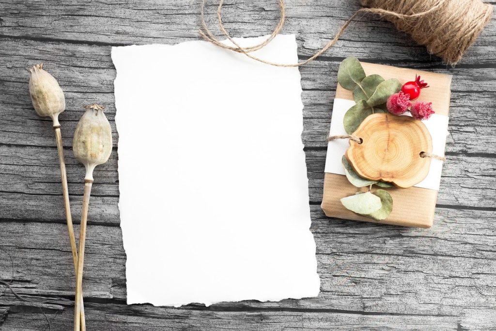 Des assiettes en papier à réutiliser