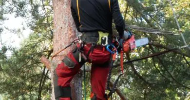 Des critères de choix d'un arboriculteur