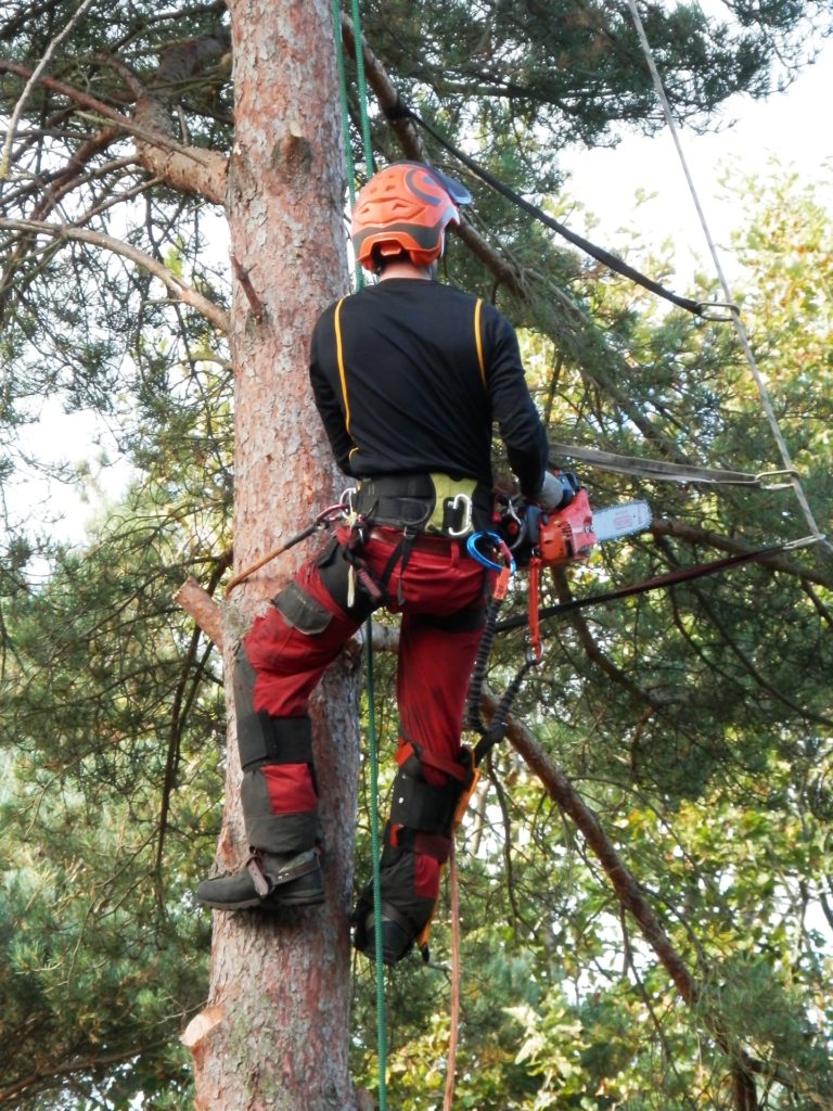 Des critères de choix d'un arboriculteur