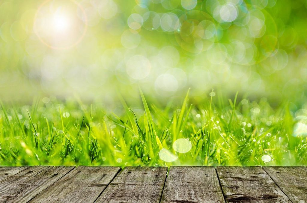 Enlever les mauvaises herbes