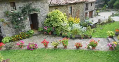 Réduire son empreinte carbone à la maison
