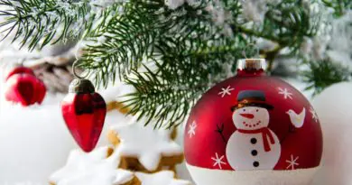 Idées déco pour Noël