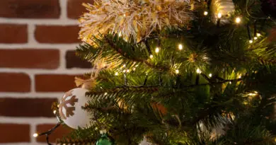 Décoration de Noël