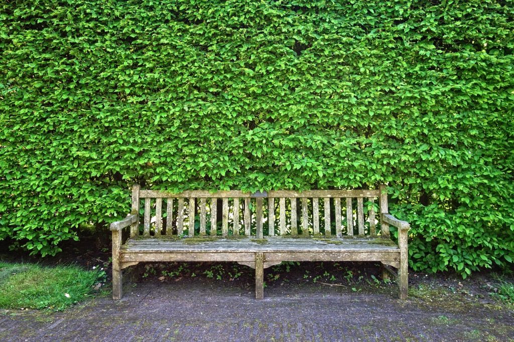 Avantages des bancs en bois