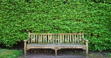 Avantages des bancs en bois