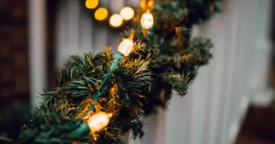 Guirlandes lumineuses