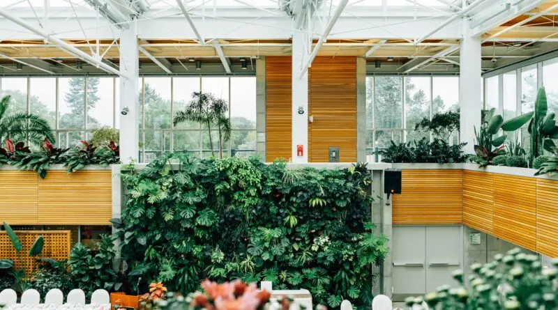 Concevoir un mur végétal