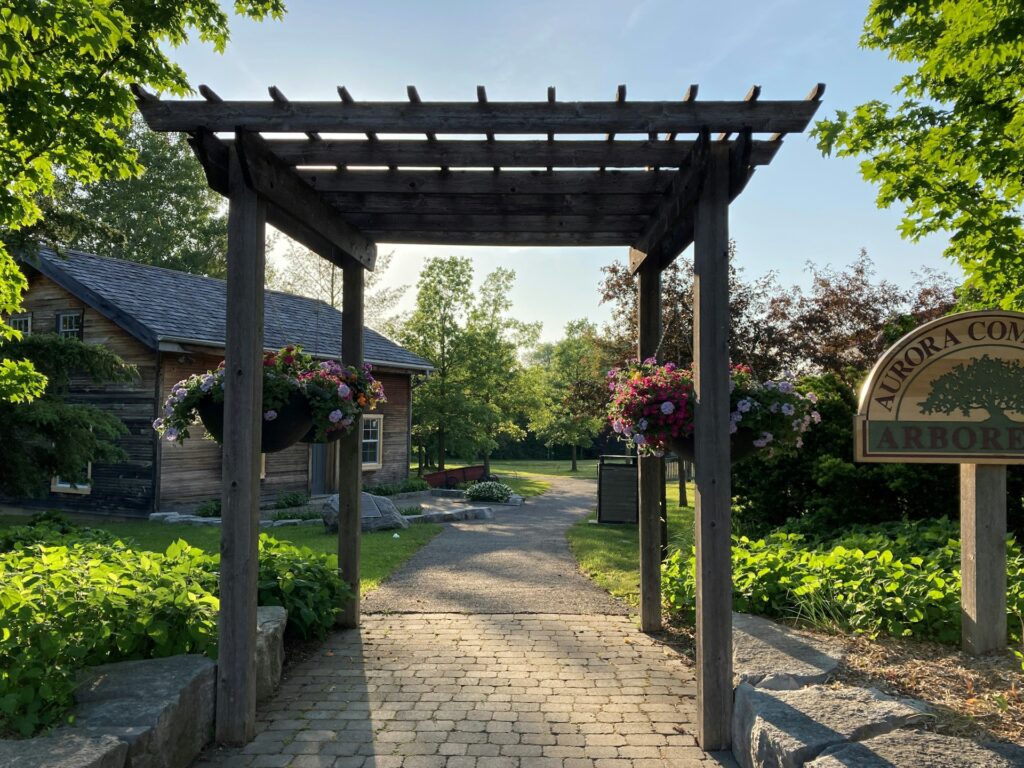 Créer une pergola végétale