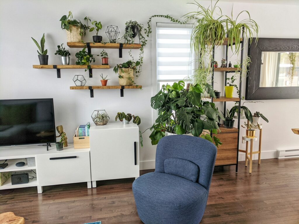 Adopter une décoration jungle