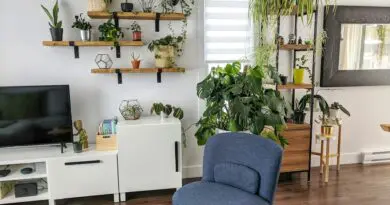 Adopter une décoration jungle