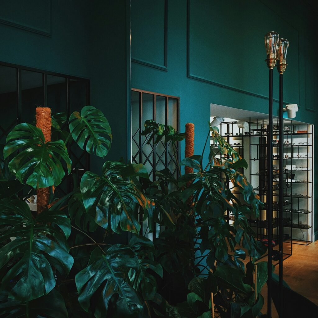 La chambre se met au vert