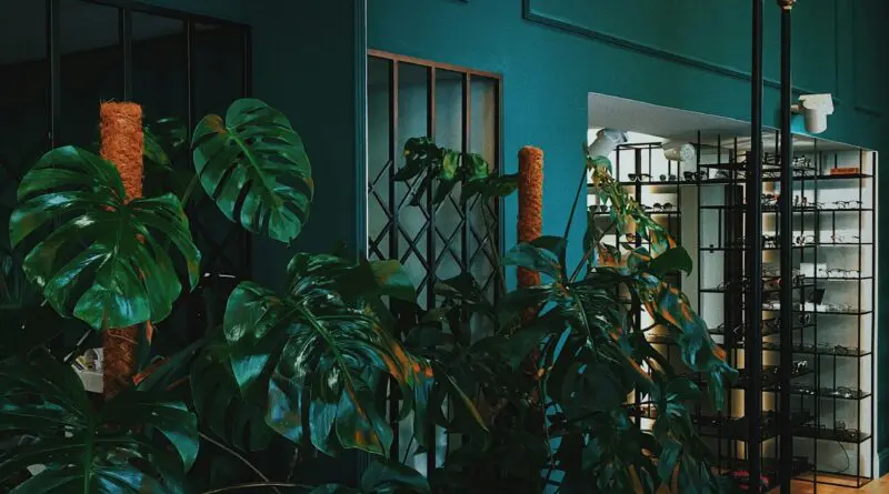 La chambre se met au vert