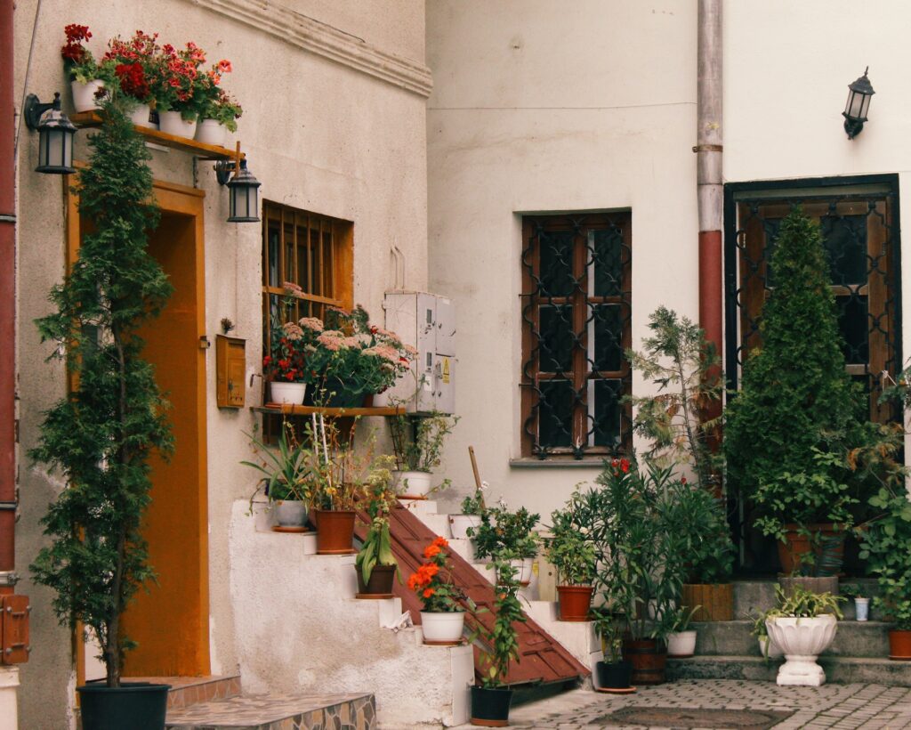 Les plantes d'été