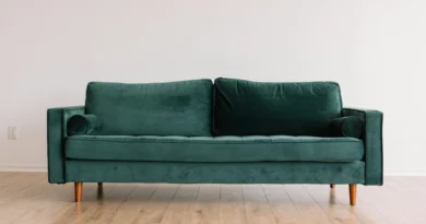 canapé vert en velours avec pieds bois dans un salon moderne