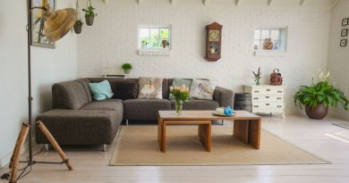 Aménager un salon de 20m² sans travaux : nos meilleures astuces Stylish living room interior featuring a cozy couch, decor accents, and natural elements.