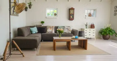 Aménager un salon de 20m² sans travaux : nos meilleures astuces Stylish living room interior featuring a cozy couch, decor accents, and natural elements.