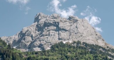 A stunning alpine mountain peak with lush green forest in clear daylight, showcasing nature's beauty.