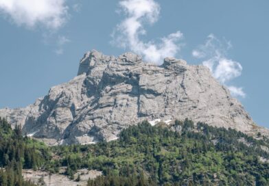 A stunning alpine mountain peak with lush green forest in clear daylight, showcasing nature's beauty.
