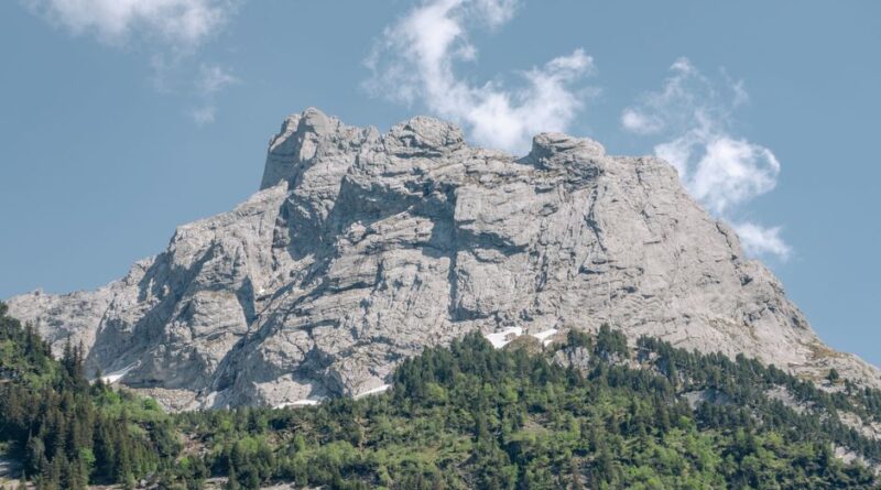 A stunning alpine mountain peak with lush green forest in clear daylight, showcasing nature's beauty.
