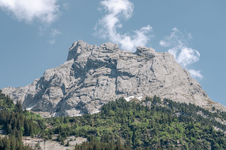 A stunning alpine mountain peak with lush green forest in clear daylight, showcasing nature's beauty.