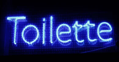 Bright blue neon 'Toilette' sign in Budapest with digital background, perfect for tech-inspired decor.