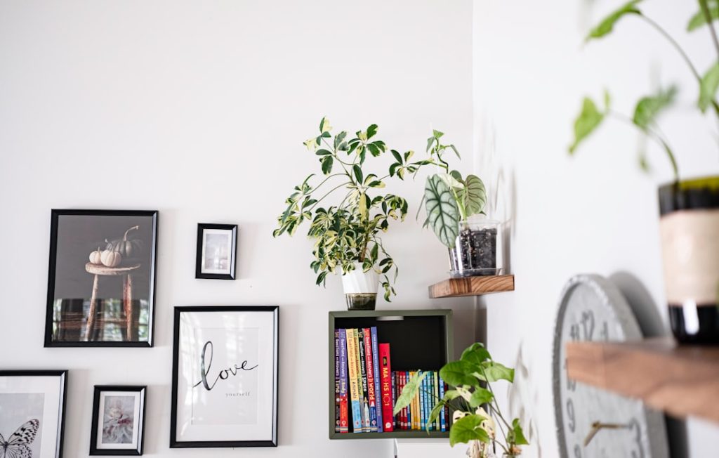 Wall art and plants displayed on shelves