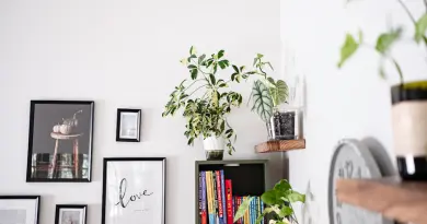 Wall art and plants displayed on shelves