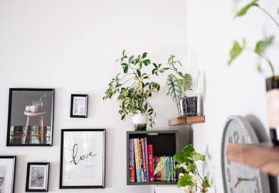 Wall art and plants displayed on shelves
