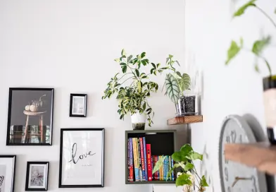 Wall art and plants displayed on shelves