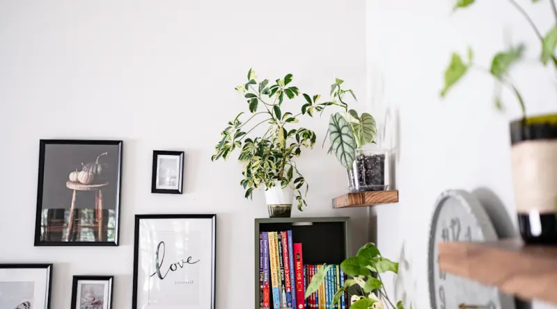 Wall art and plants displayed on shelves